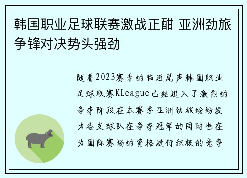 韩国职业足球联赛激战正酣 亚洲劲旅争锋对决势头强劲
